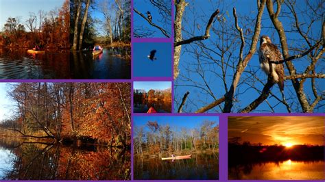 Sunset N Branch Rancocas Creek Water Trail Pathways Kayak Rentals And