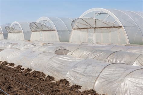 PLÁSTICO AGROLENE Plastico invernadero Colombia