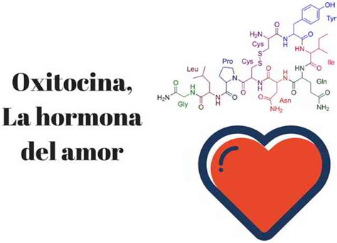 La Oxitocina En La Lactancia