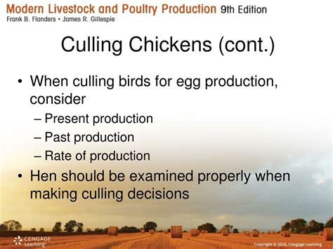 Ppt Comprehensive Guide To Poultry Industry Breeds Selection And