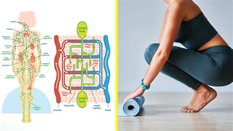 11 Stretches That Drain Your Lymphatic System And Improve Lymph Flow