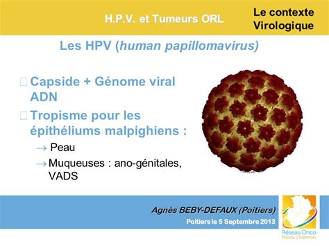 Le contexte virologique ppt télécharger