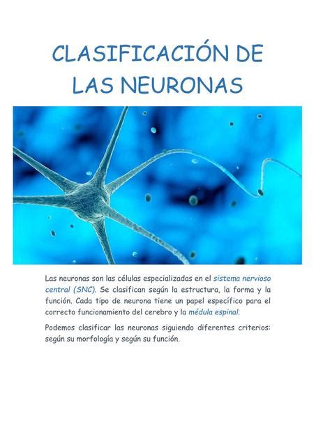 Clasificación de las Neuronas Carlos Alberto Cardenas uDocz