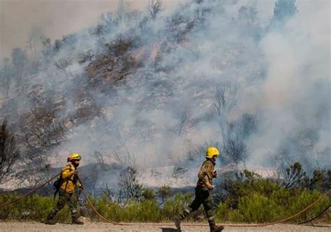 Incendios Forestales En El Bolsón Peligro E Imágenes Impactantes