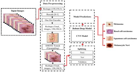 Cancers Free Full Text Dsccnet Multi Classification Deep Learning