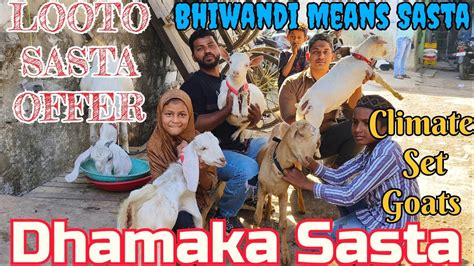 Dhamaka Sasta Sale Offer Full Climate Set Goat Lo Aur Shouk Karo