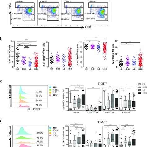 Pdf Tigit Tim Nk Cells Are Correlated With Nk Cell Exhaustion