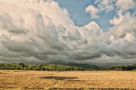 Lapangan Tanah Pertanian Pedesaan Foto Gratis Di Pixabay Pixabay