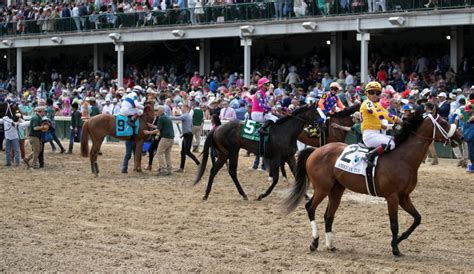 How Many Horses Died At Kentucky Derby 2024 Janaye Marquita