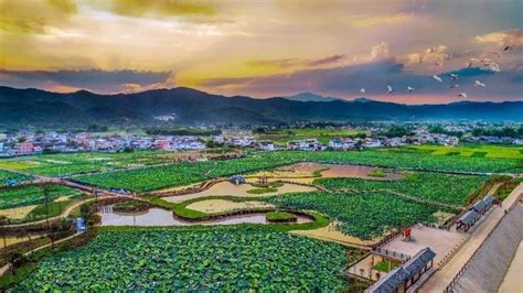 “长寿村”的秘密——梅州蕉岭县九岭村 财经头条