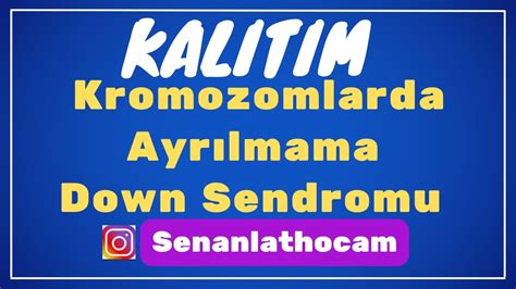 Kalitim Konu Anlatimi Kromozomlarda Ayrilmama Down Sendromu