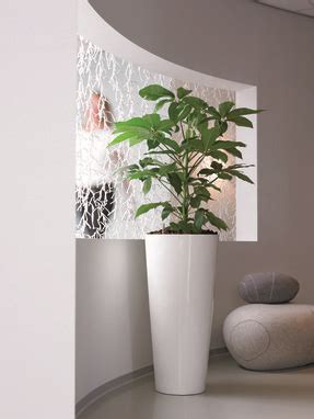 Tall Indoor Planters - Foter