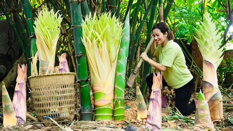 Harvesting Bamboo Shoots Go To Market Sell Preservation Process