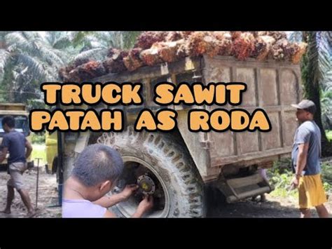 NGENESMUATAN SAWIT BANYAK PATAH AS RODA CANTER YouTube