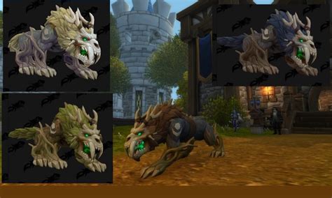 All 8 Wow Kul Tiran Human Druid Forms Detailed Review