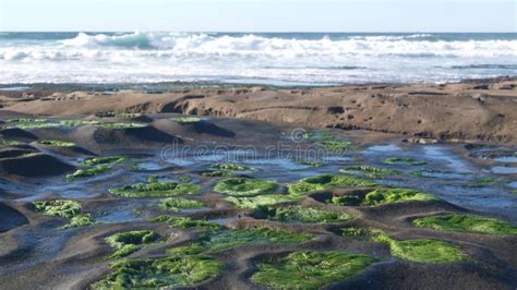 Eroded Tide Pool Rock Formation in California. Littoral Intertidal Tidepool Zone Stock Photo ...