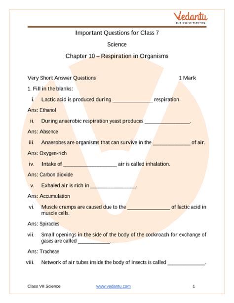 Important Questions For CBSE Class 7 Science Chapter 10 Respiration