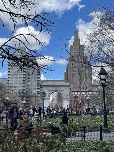 Nyu Majors The Undecided Student Edition Meet Nyu