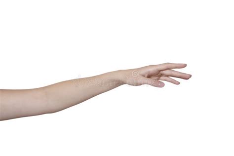 Hand And Arm Isolated On White Stock Images - Image: 10332474