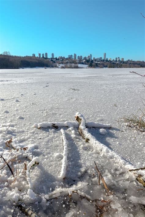 Deer Lake during Winter Vancouver, Canada Jan 2017 Stock Image - Image ...