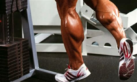 Calf Muscles • Bodybuilding Wizard