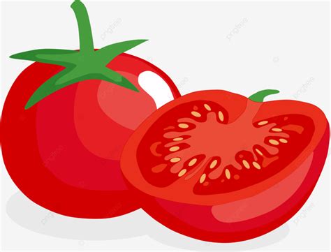 Los Vectores De Tomate Se Pueden Utilizar Como Animaciones De