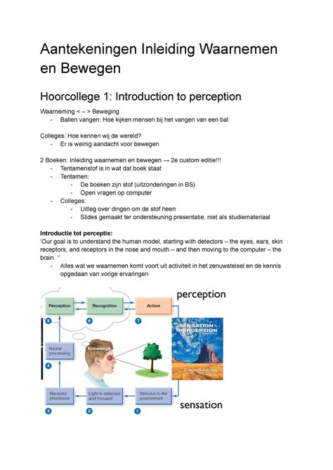 Aantekeningen Inleiding Waarnemen En Bewegen Aantekeningen Inleiding