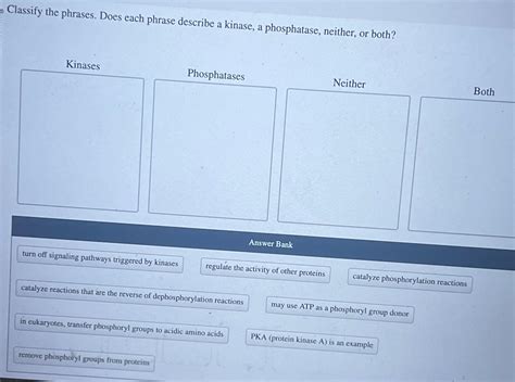 Solved Classify The Phrases Does Each Phrase Describe A Chegg