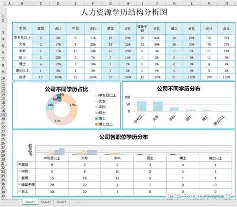 Hr必备报表及数据分析表格合集，月报年报数据分析模板（随改随用55份全自动生成） 知乎