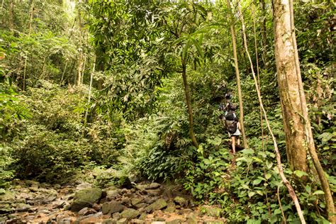 Viajoscopio Bukit Lawang Gunung Leuser National Park Sumatra