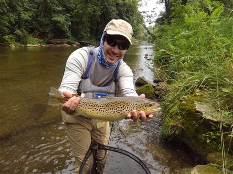 Trout Haven S Spruce Creek PA Fly Fishing Blog Trout Haven