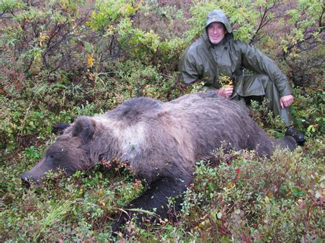 Grizzly Bear Hunting - Alaska