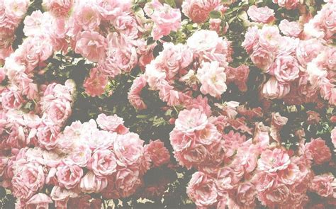 [100+] Pink Vintage Aesthetic Wallpapers | Wallpapers.com