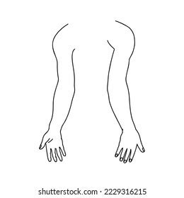 Human Hands Front Back Outline Anatomical Stock Vector (Royalty Free ...