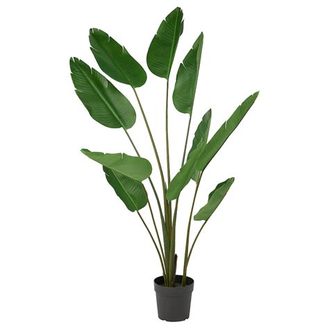 Fejka Artificial Potted Plant Indoor Outdoor Bird Of Paradise 9 Ikea