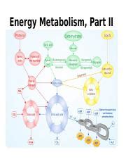 Energy Metabolism Part II.pptx - Energy Metabolism Part II Learning ...