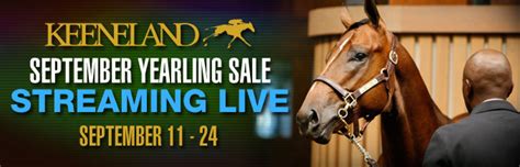 Watch the September Keeneland Sales Live on TwinSpires | TwinSpires