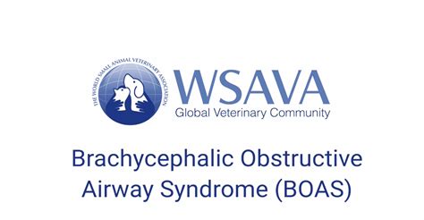 Brachycephalic Obstructive Airway Syndrome (BOAS)