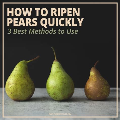 How To Ripen Pears Quickly 2 Best Methods To Get These Fruits Ready