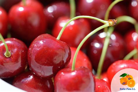 Propiedades De Las Cerezas Frutas Rubio Plata