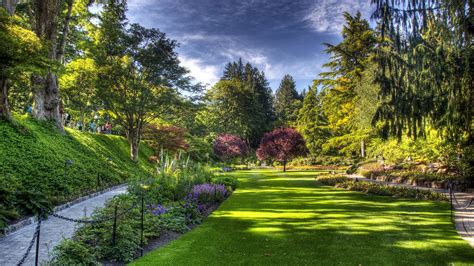 Beautiful Garden Green Grass Field Trees Plants Bushes Colorful Flowers