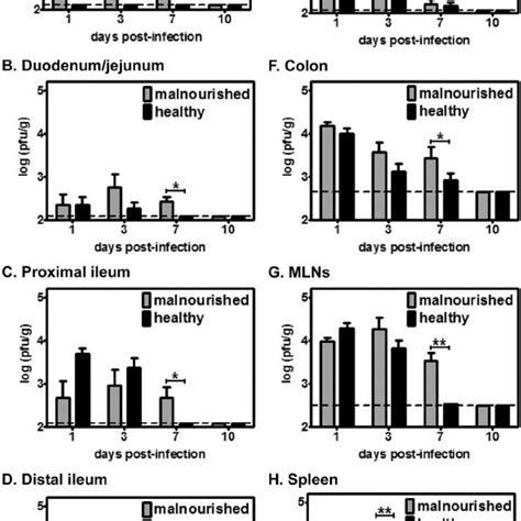 Control Of Mnv Infection Is Impaired In The Malnourished Host And