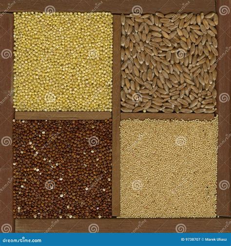 Millet Spelt Amaranth Quinoa Grains Stock Image Image Of Ancient