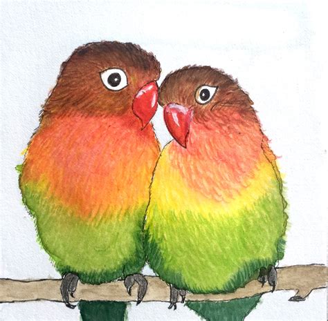 Ins Parables Laquarelle Et Aux Crayons Aquarellables Parrot Bird