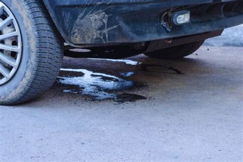 Car Leaking Antifreeze When Parked Causes And How To Fix Road Sumo