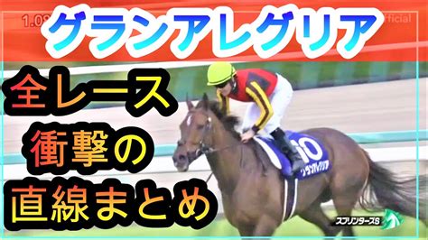 【競馬 グランアレグリア マイルcs】アーモンドアイ斬り一閃！全レース最後の直線映像完全まとめ！～20201121 Youtube