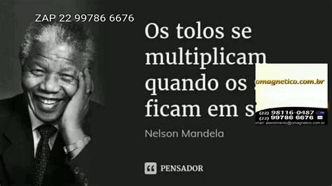 Os Tolos Se Multiplicam Quando Os Sábios Ficam Em Silêncio mais