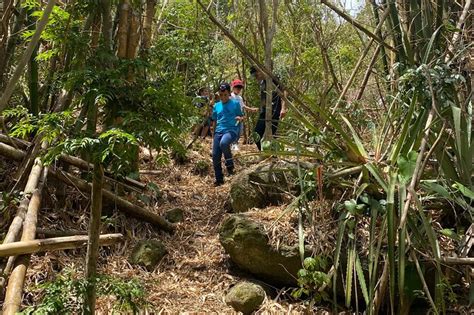 Mount Healthy National Park Private Hike Tour in Tortola 2024