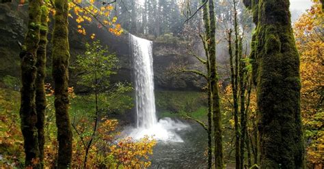 Silver Falls State Park Travel Salem