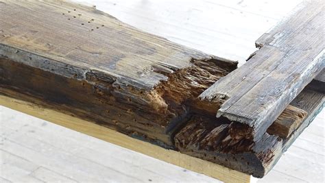 Wood Rot How To Identify And Repair The Money Pit